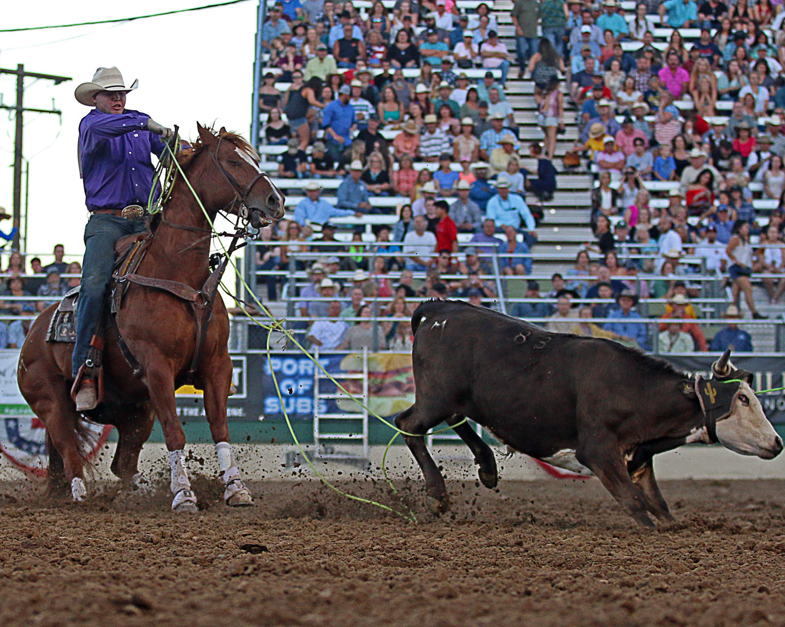 Reno Rodeo Short-Go Winners -- Team Roping Heeler -- Jake Clay